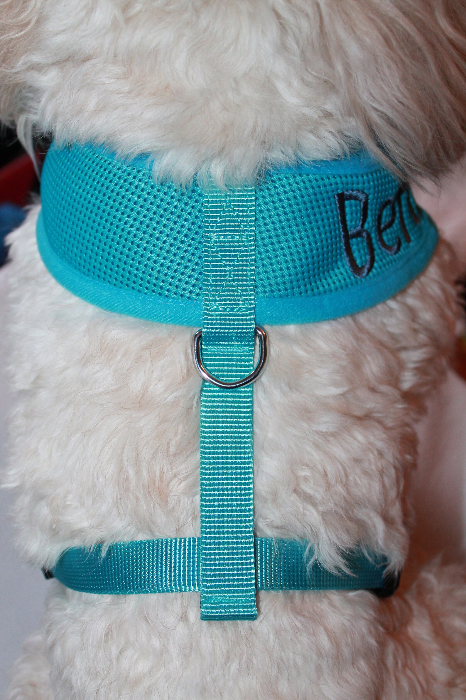 Personalised Turquoise Blue Dog Harness Custom Dog Harness Etsy UK