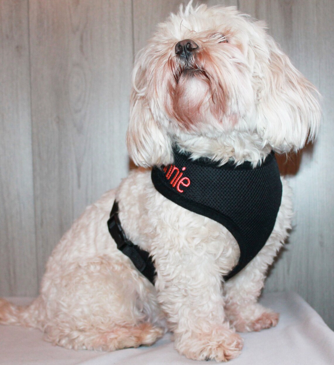 Personalised Black Dog Harness Custom Dog Harness Etsy UK