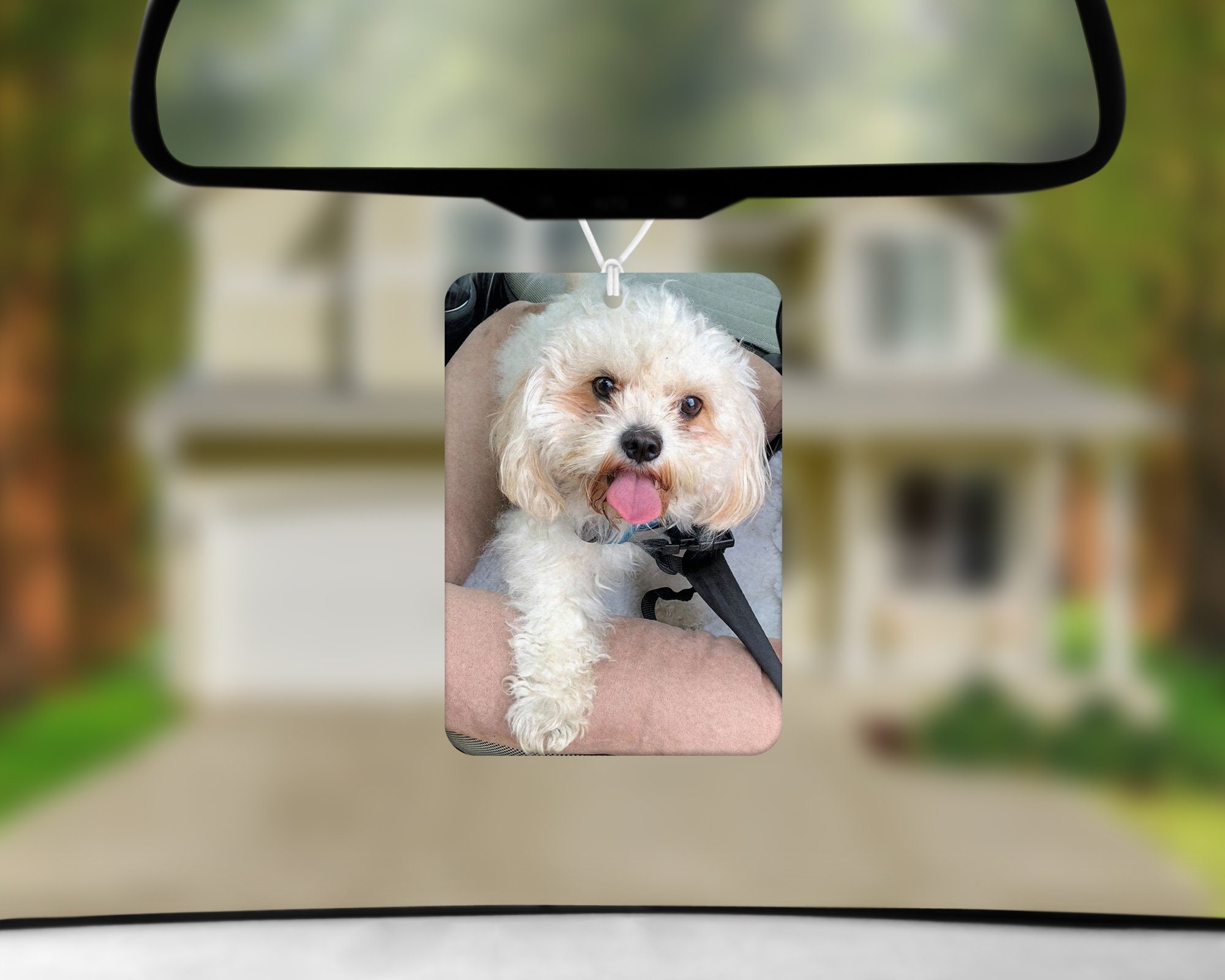 Personalised Pet Air Freshener Double sided Huge choice of Etsy
