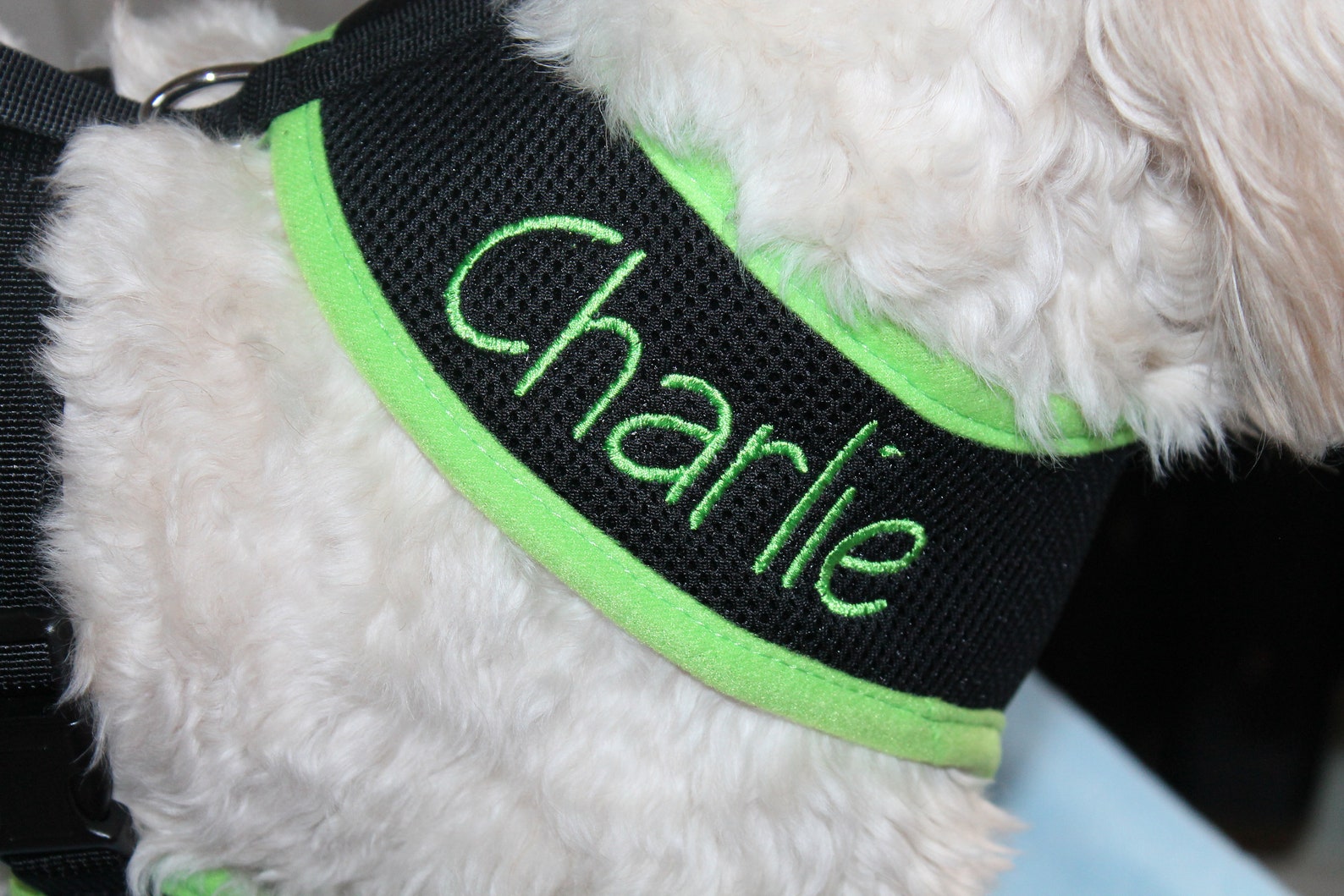 Personalised Dog Harness Custom Dog Harness Embroidered Name Etsy
