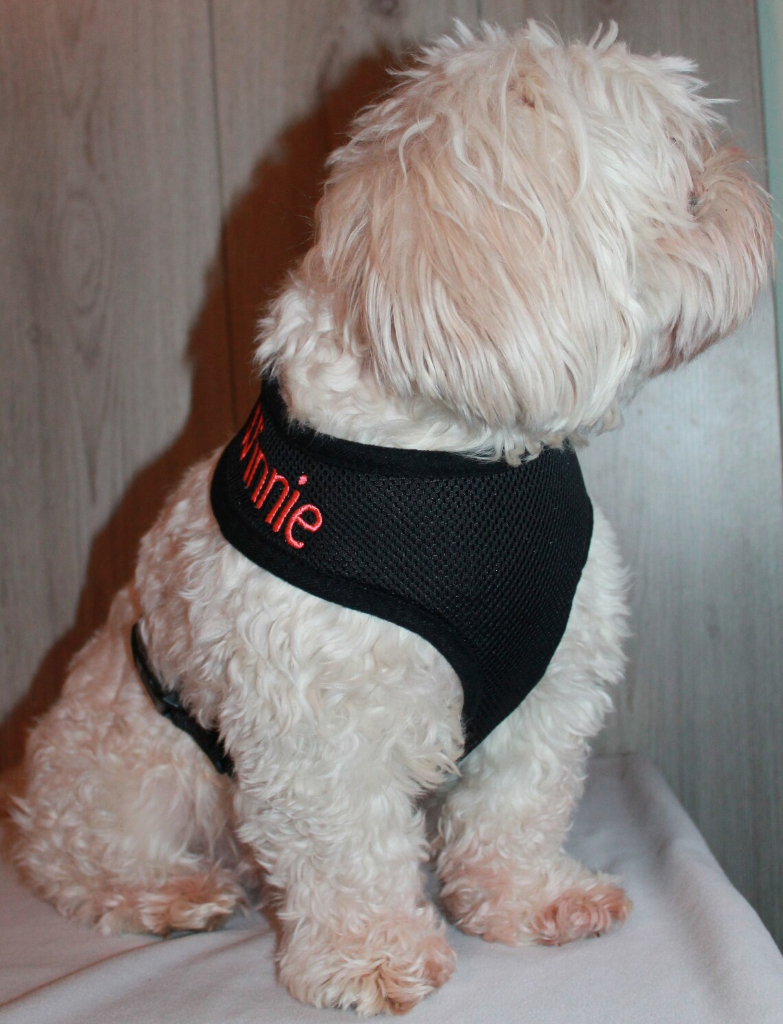 Personalised Black Dog Harness Custom Dog Harness Etsy UK