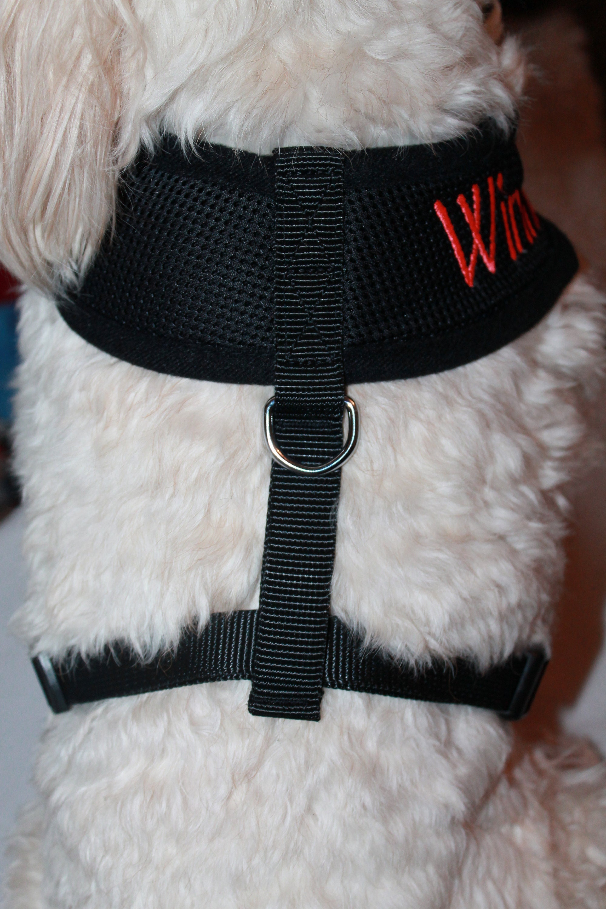 Personalised Black Dog Harness Custom Dog Harness Etsy UK