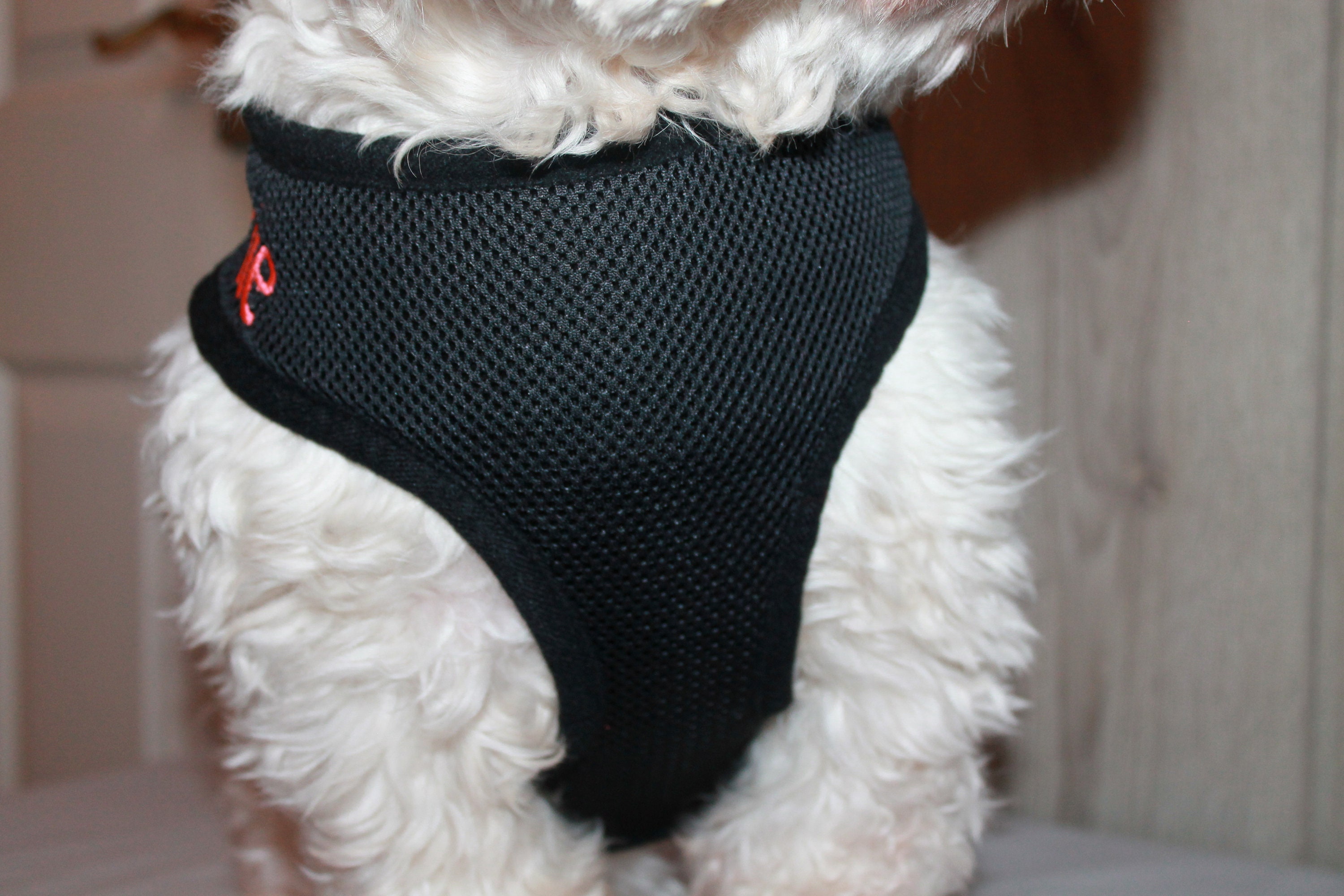 Personalised Black Dog Harness Custom Dog Harness Etsy UK