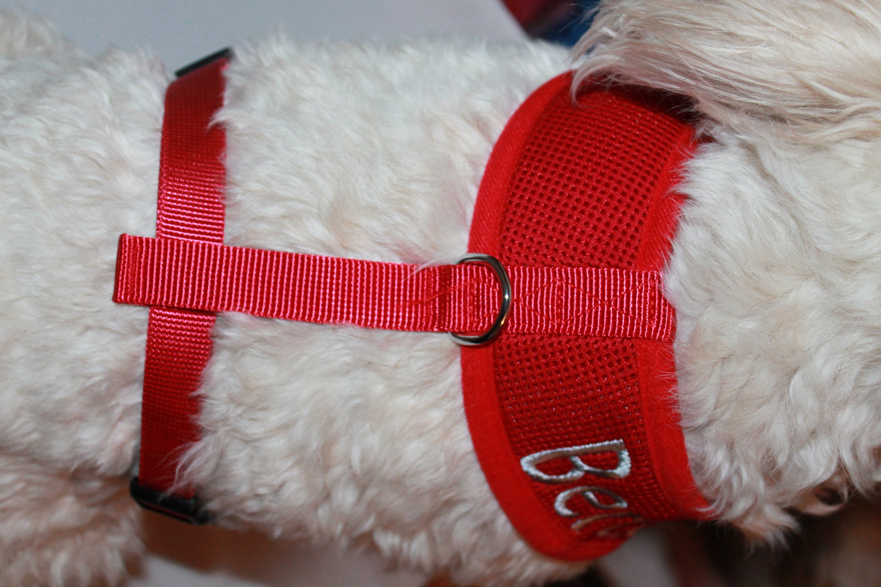Personalised Red Dog Harness Custom Dog Harness Embroidered Etsy UK