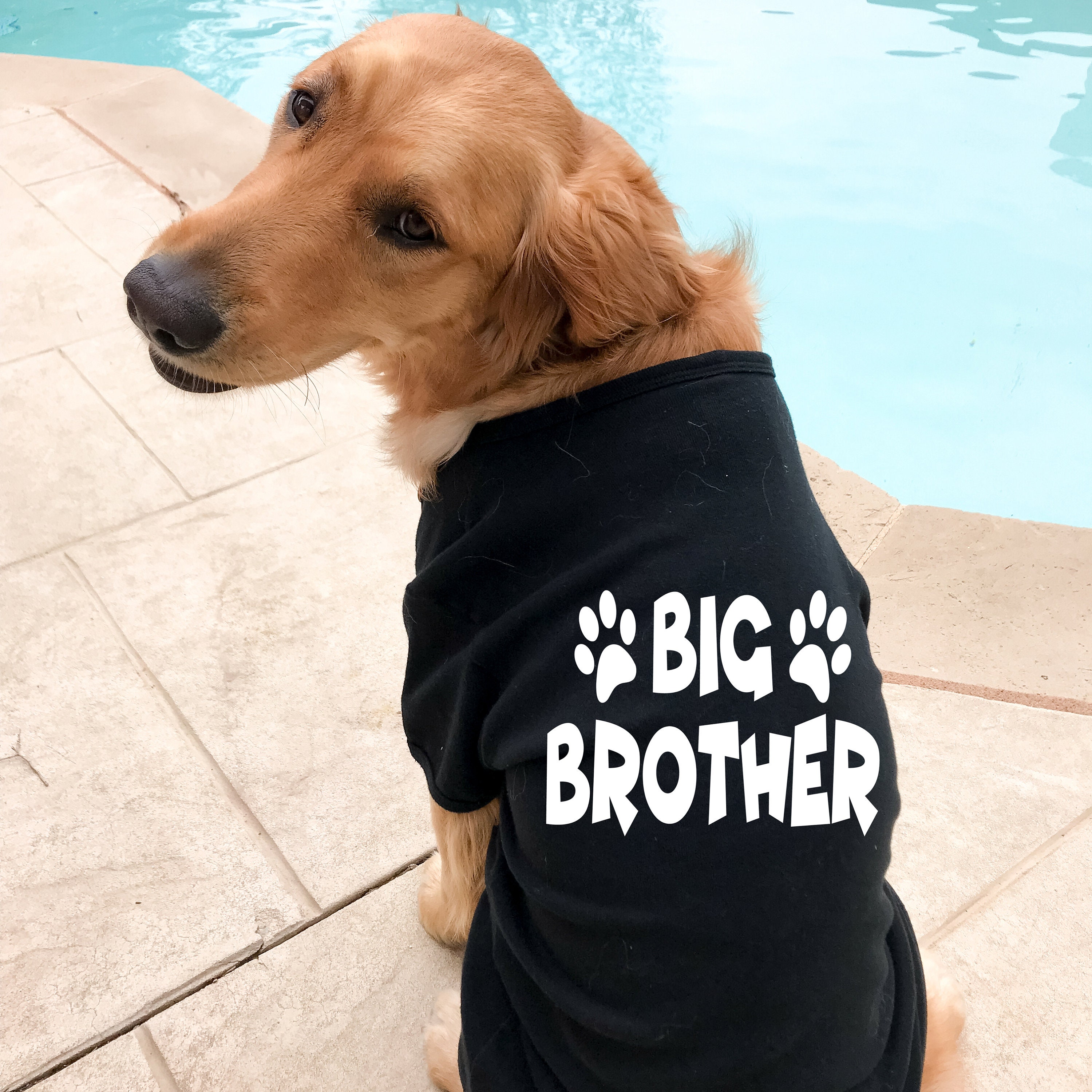 big brother dog tee