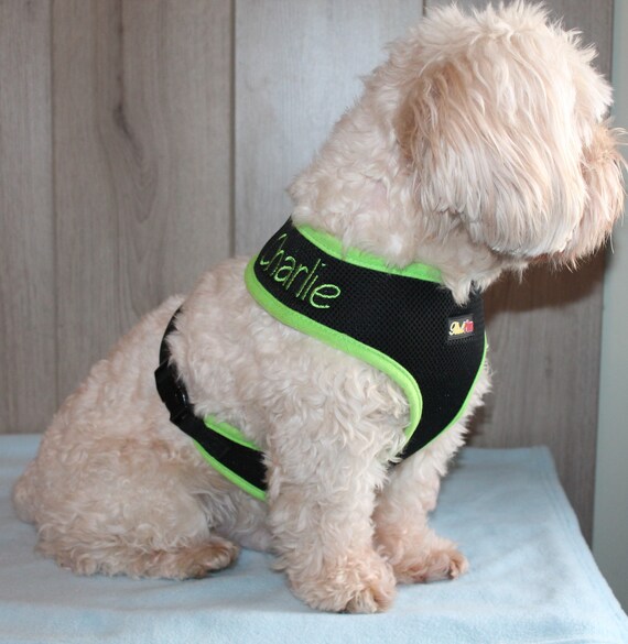 personalised puppy harness