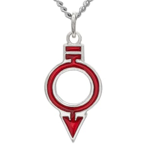 May include: Silver-toned pendant necklace featuring a red enamel design. The pendant has a circular center with a stylized arrow shape at the bottom and a rectangular top. The chain is a delicate silver color.
