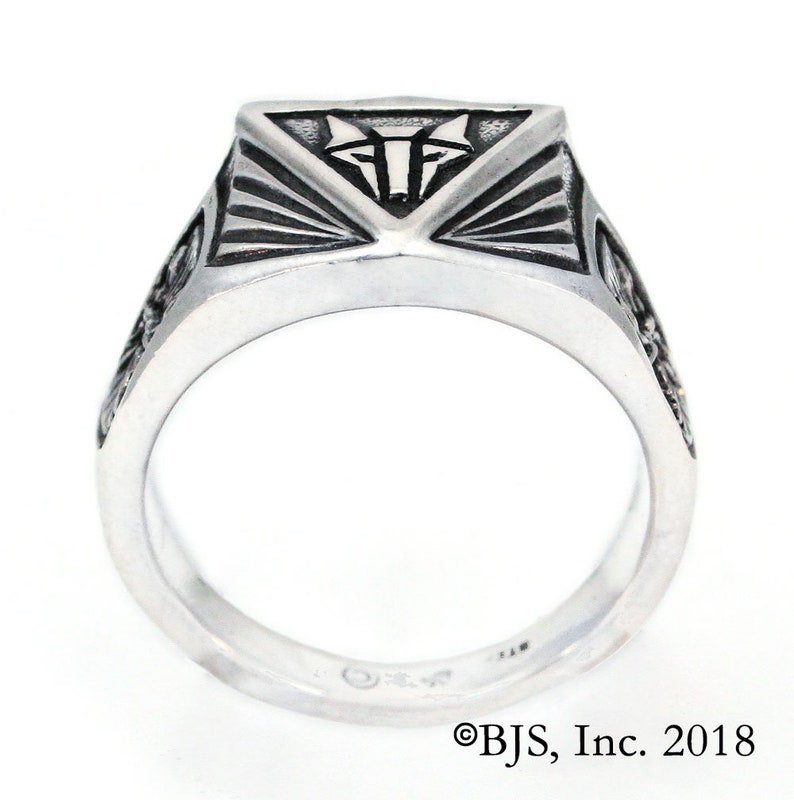 Institute Ring for House Mars from the Red Rising series by Pierce Brown, Sterling Silver House Mars Ring, Sizes 6 13.5, Free US Shipping image 4