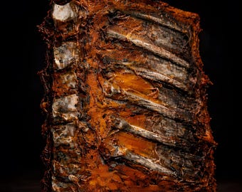 Anatomical Spine Book Splatter – Silicone Horror Spine Book, Gothic Macabre Art, Halloween Horror Prop, One of a Kind