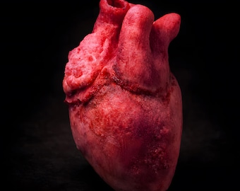 Cuore Anatomico Realistico Horror – Cuore Umano Finto per LARP Goth e Splatter