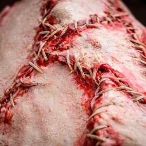 Macro detail of human skin face book cover, handmade dark art showing realistic skin texture and facial sculpting