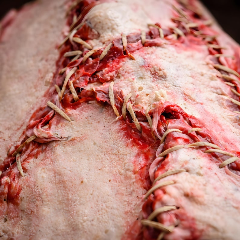 Macro detail of human skin face book cover, handmade dark art showing realistic skin texture and facial sculpting