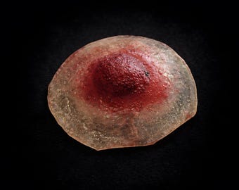 Brustwarzenprothese aus Latex – Realistische anatomische Details für FX-Make-up, Spezialeffekte, Film und Theater