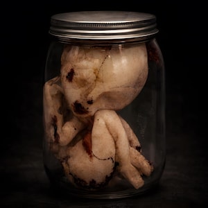 Słoik z fałszywym płodem – replika słoika z okazem Horror, obiekt sztuki mrocznej, ciekawostka z laboratorium gotyckiego, rekwizyt filmowy