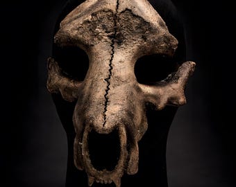 Maschera Teschio di Orso in Poliuretano – Bear Skull Mask Horror Personalizzabile Effetto Osso o Metallo per LARP e Cosplay