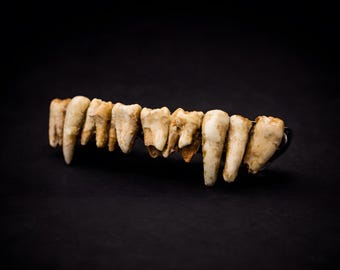 Mollettone con Denti Umani Finti – Accessorio Horror Dark Art