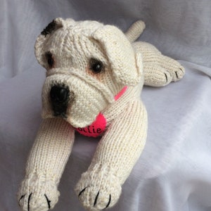 May include: A white knitted bulldog plush toy with black eyes and a pink collar with the name "Ollie" on it.