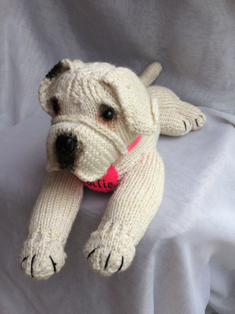 May include: A white knitted bulldog plush toy with black eyes and a pink collar with the name "Ollie" on it.