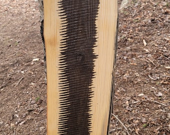 Live Edge Ash Slab with weathered /sawmill character