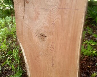 Live Edge Red Oak Slab, kiln dried