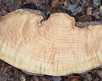 Cherry Burl