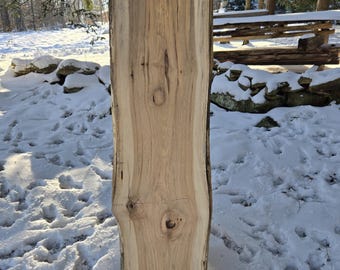 Live Edge Elm Slab; Kiln dried and planed