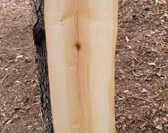 Live Edge Ash Slab with weathered /sawmill character
