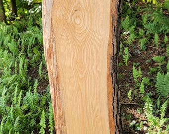 Live Edge Ash Slab