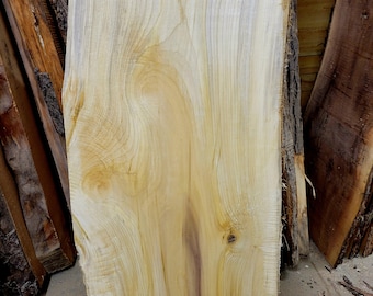 Live Edge Cucumber Slab with purple streaking and pillowing
