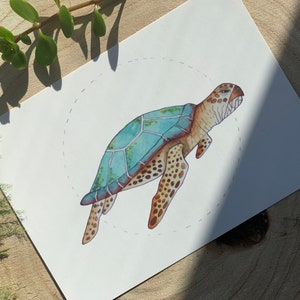 Kaartje schildpad, post kaart, A6 kaart, illustratie schildpad, illustratie door Marjet Scholten