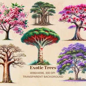 Exotic Trees Watercolor Clipart, Beautiful trees png, Landscape art, Forest clipart PNG, Tree Clipart, Instant Download, Baobab Png, Cherry