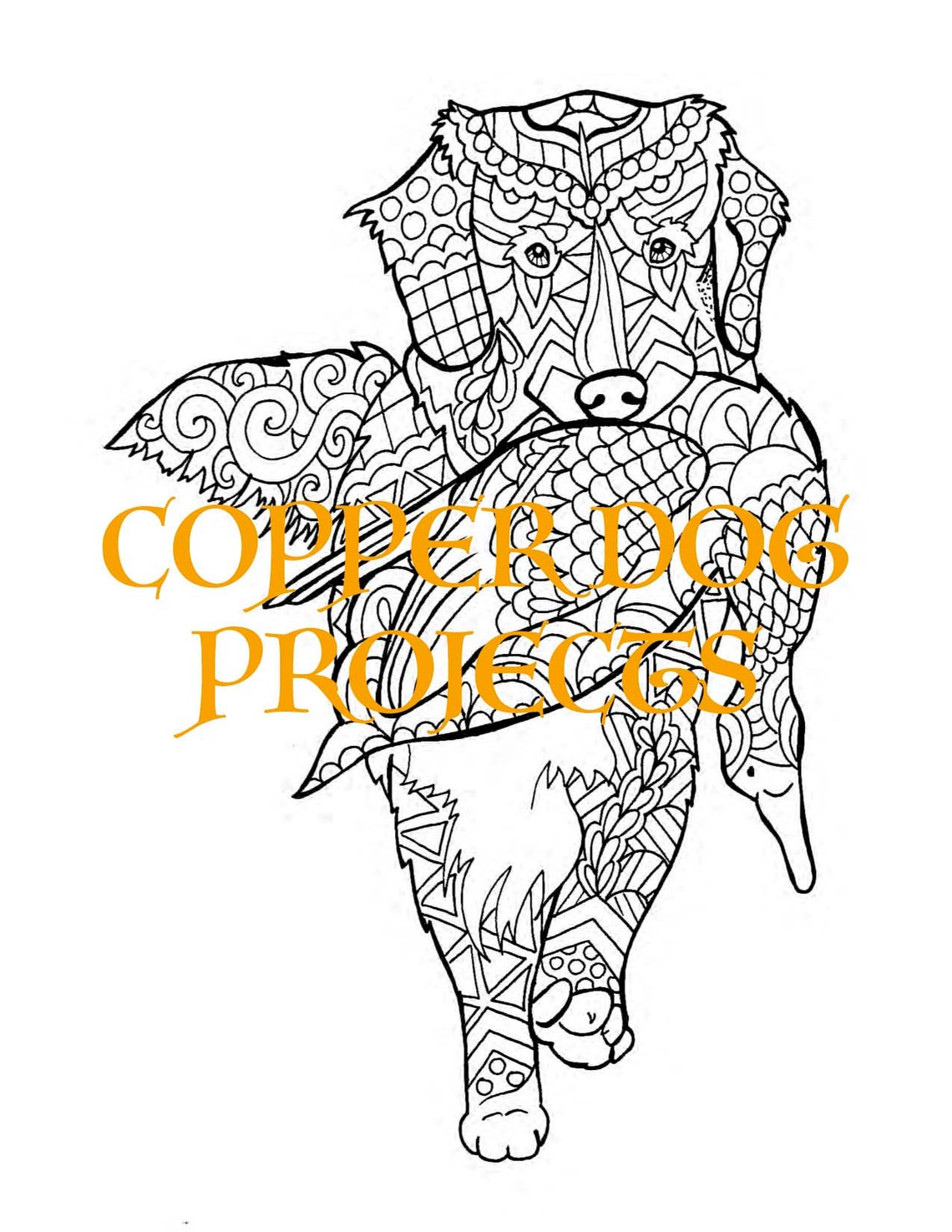 Download 110+ Nova Scotia Duck Tolling Retriever Coloring Pages PNG PDF