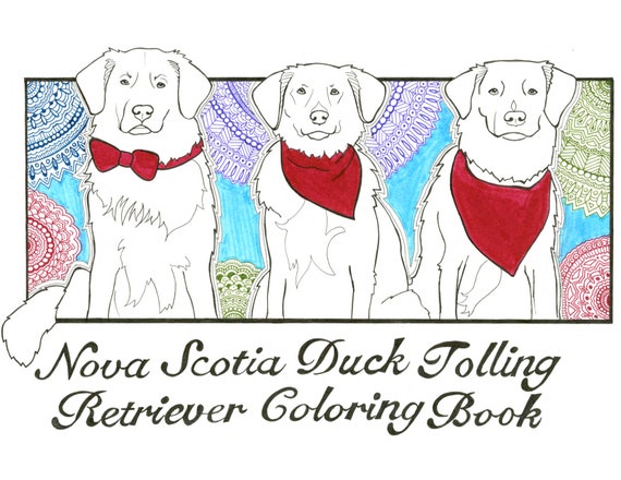 Digital Download Nova Scotia Duck Tolling Retriever Coloring Book