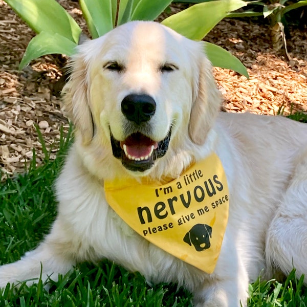 Over the Collar style "NERVOUS DOG Please Give Me Space" Handmade Dog Bandana, M/L Size, Multiple fabric options