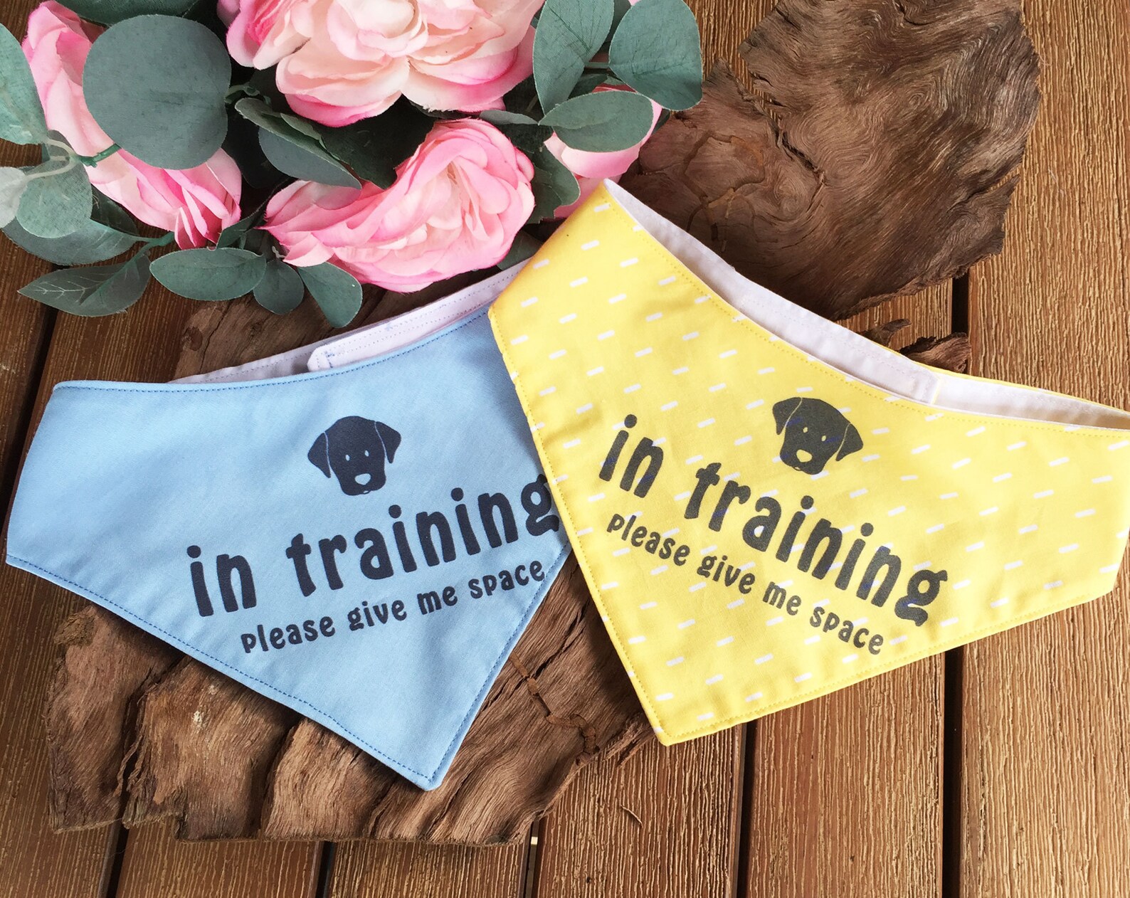 21 Cutest Dog Bandanas for Australian Dogs (Because Naked Necks Are Out)