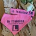 Puppy/Small Breed 'IN TRAINING' Please Give Me Space Handmade Dog Bandana & Lead/Collar Strap, Choice of Colour, FREE Shipping in Australia