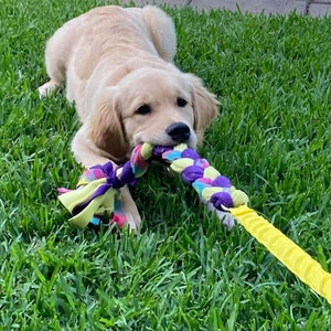 Fleece Bungee Plaited Puppy Tug Game, Choice of Colours, Great for Puppy Play and Mental stimulation, Handmade in Australia,