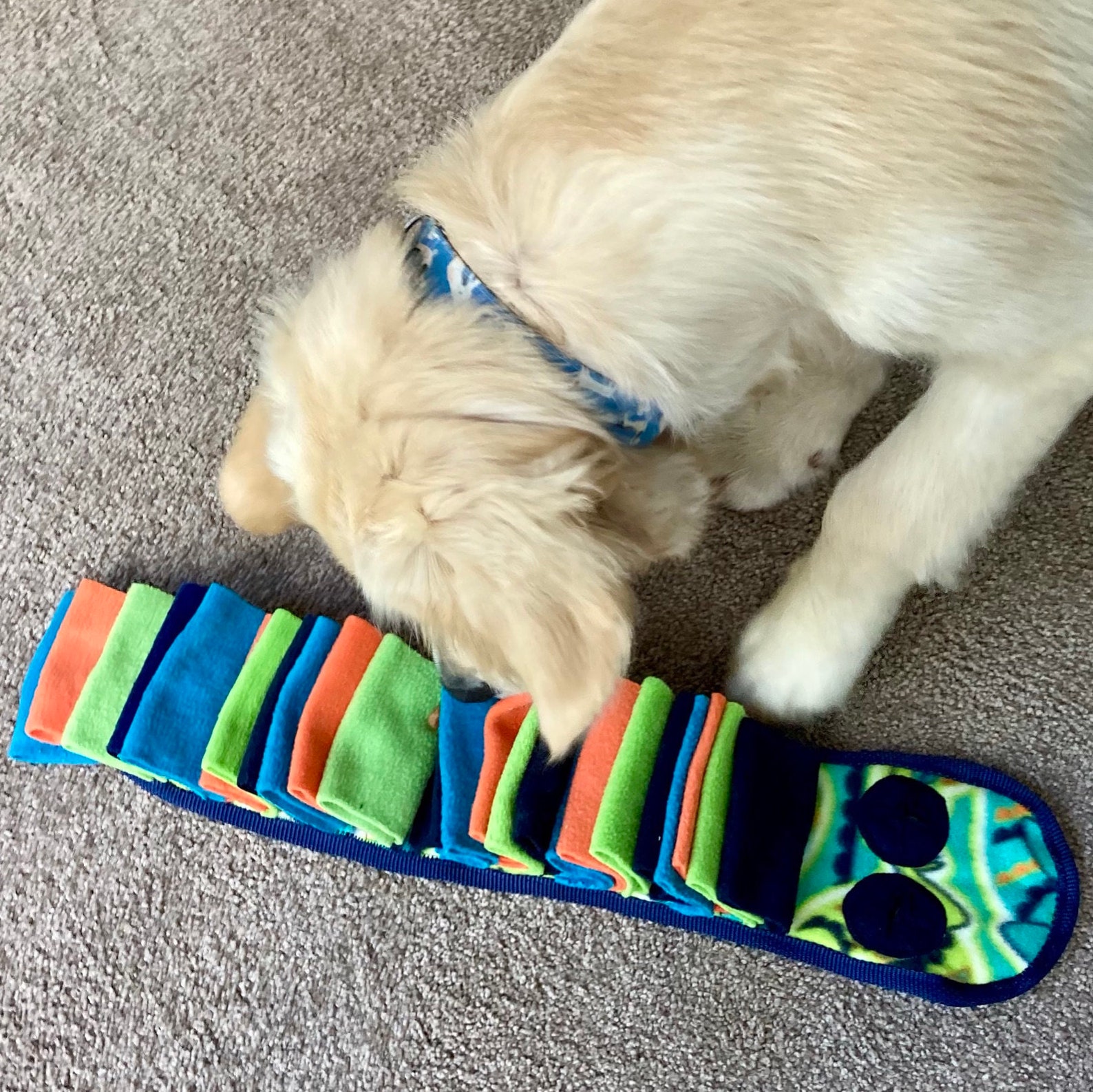 9 Labrador Gift Ideas for the Dog-Obsessed (You Know Who You Are) 9 Labrador Gift Ideas for the Dog-Obsessed (You Know Who You Are)