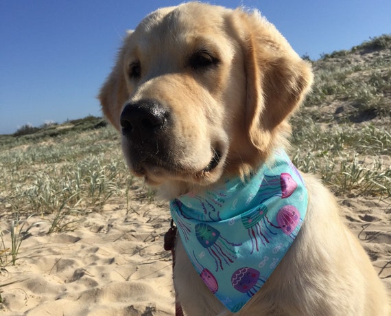 unique dog bandanas