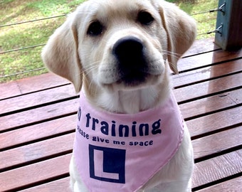 Dog "IN TRAINING" Please Give Me Space plus L Plate, Handmade Dog Bandana, different Size and Fabric options, great training aid