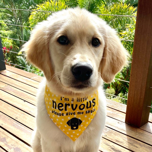 NERVOUS Dog Please Give Me Space Bandana - choose of Fabrics & Sizes, Handmade Dog Bandana, ideal for Rescue Dogs, Great Training Aid