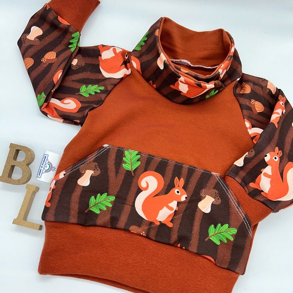 Sweat enfant bébé capuche motifs au choix ,3m au 4ans, sweat ras du cou, pull enfant, pull bébé, sweat bébé