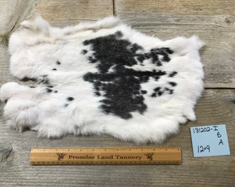 Spotted Grey and White Rabbit Hide One Average Natural Rabbit Fur No 180607-LL