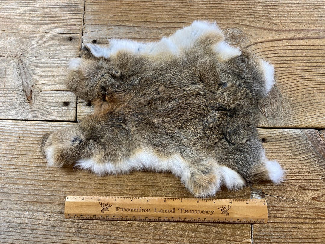 Brown Rabbit Hide - One Average - Natural Rabbit Fur - No. 240907-GG - Etsy