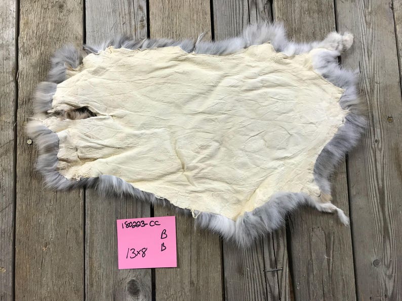 180223-CC One Average Japanese Harlequin Brown Rabbit Hide Natural