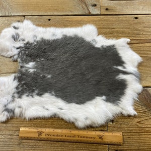 Grey Rabbit Hide Gray and White Spotted Rabbit Hide - One Average - Natural Rabbit Fur ...