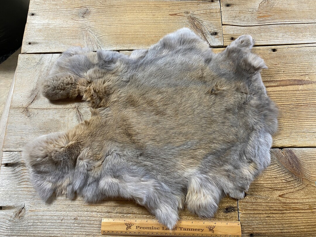 Gray/brown Rabbit Hide - One Jumbo - Natural Rabbit Fur - Lot No ...