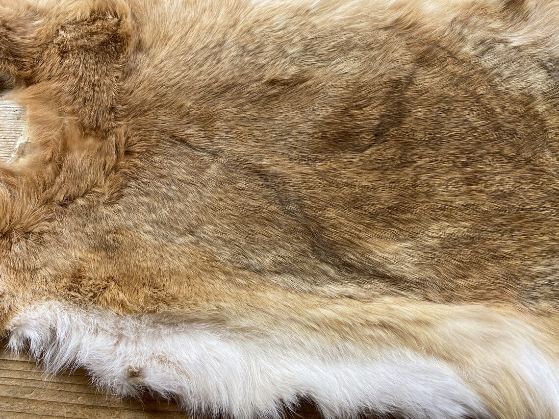 Brown Rabbit Hide - One Jumbo - Natural Rabbit Fur - Lot No. 230125-I ...