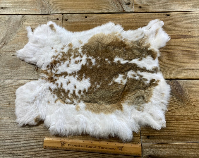 Brown and White Spotted Rabbit Hide - One Jumbo - Natural Rabbit Fur ...