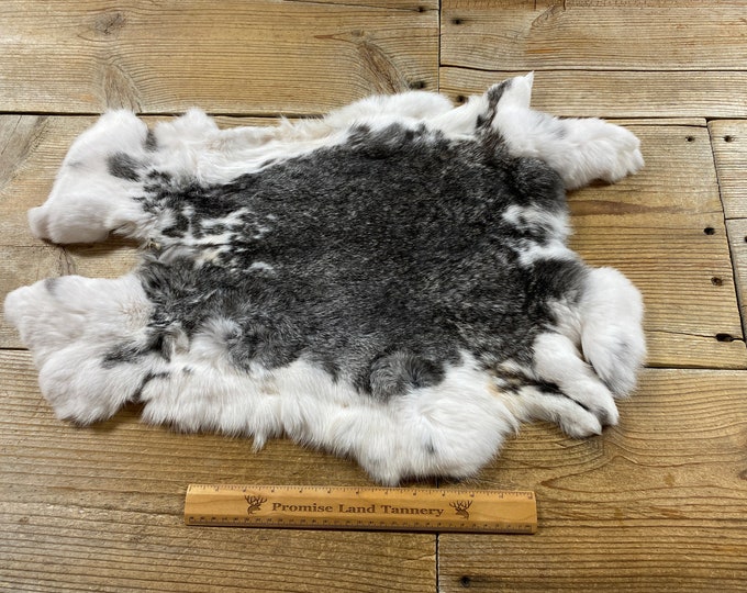 Gray and White Spotted Rabbit Hide One Jumbo Natural Rabbit Fur Lot No ...